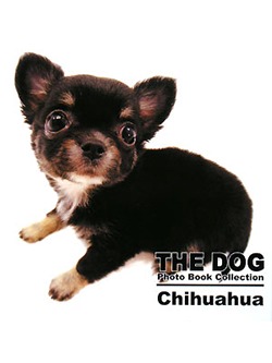 THE DOG Photo Book Collection Chihuahua【書籍】
